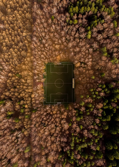 ترتيباتالزمالكفيالدوريالمصريمسيرةالناديالأبيضنحوالصدارة